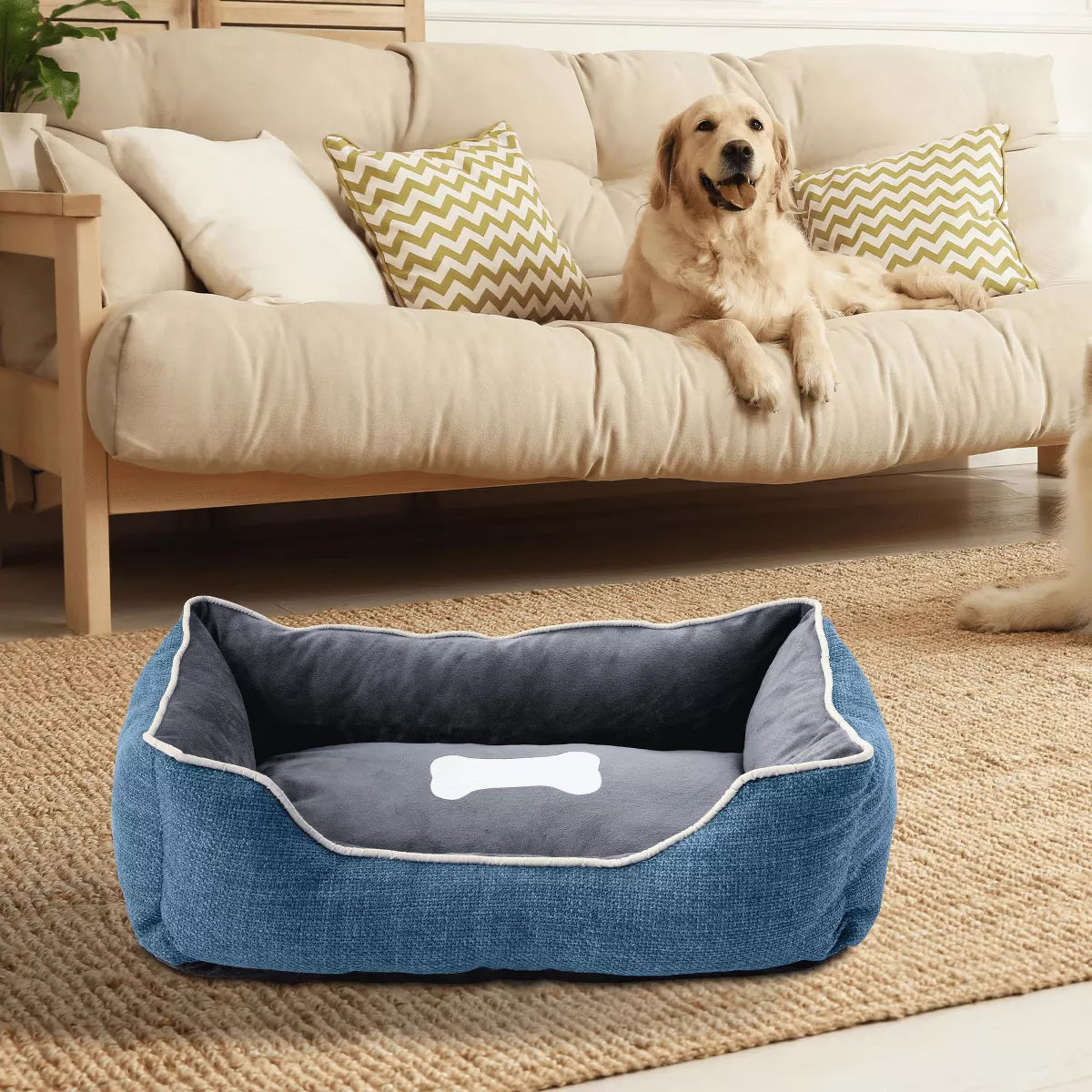 Anti-Slip Orthopedic Small Dog Bed with Washable Plush Sofa Cushion